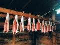 smokingfish.jpg